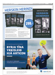 Síða 25