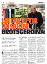 Síða 14