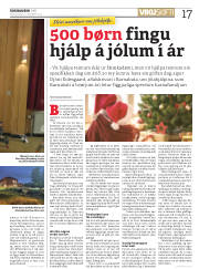 Síða 17