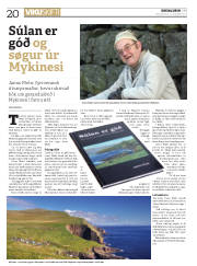 Síða 20