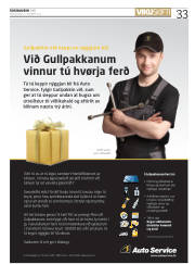 Síða 33