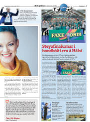 Síða 17