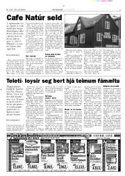 Síða 3