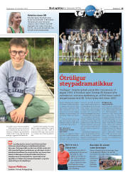 Síða 29