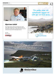 Síða 43