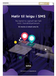 Síða 3