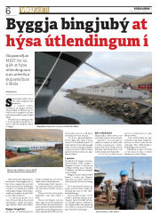 Síða 6
