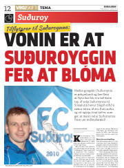 Síða 12