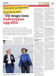 Síða 17