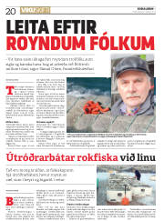 Síða 20
