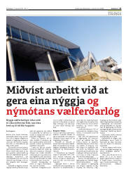 Síða 11