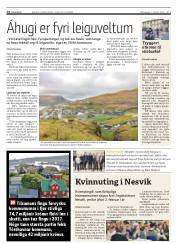 Síða 14