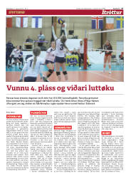 Síða 17
