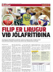 Síða 22