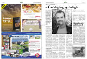 Síða 3