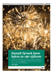 Síða 13