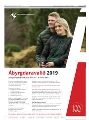 Síða 17