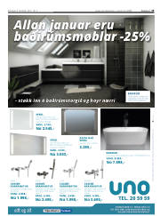Síða 19