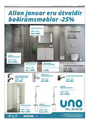 Síða 21