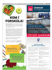 Síða 31