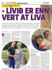 Síða 6