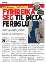 Síða 11