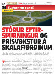 Síða 12