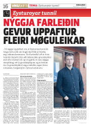 Síða 16