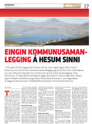Síða 17