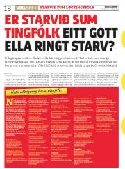 Síða 18