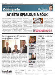 Síða 2