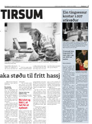 Síða 5
