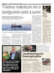 Síða 8