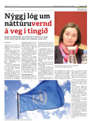 Síða 13