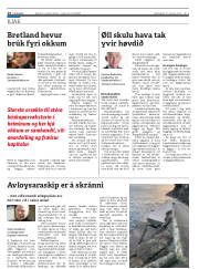 Síða 14