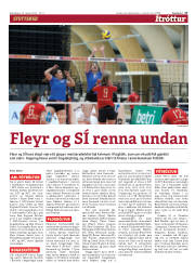 Síða 17