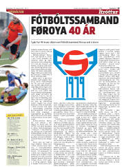 Síða 19