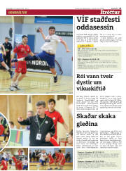Síða 21