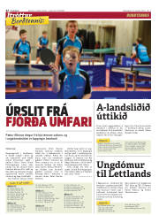 Síða 22
