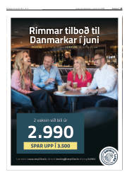 Síða 13