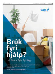 Síða 15
