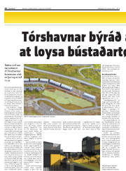 Síða 20