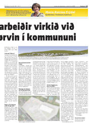 Síða 21