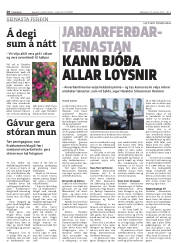 Síða 28