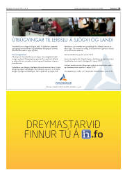 Síða 41