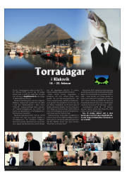 Síða 48