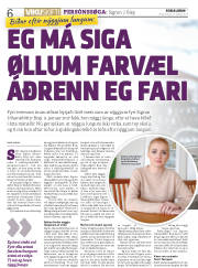 Síða 6