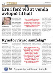 Síða 22