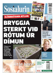 Síða 1