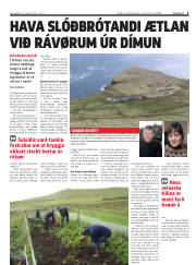 Síða 3
